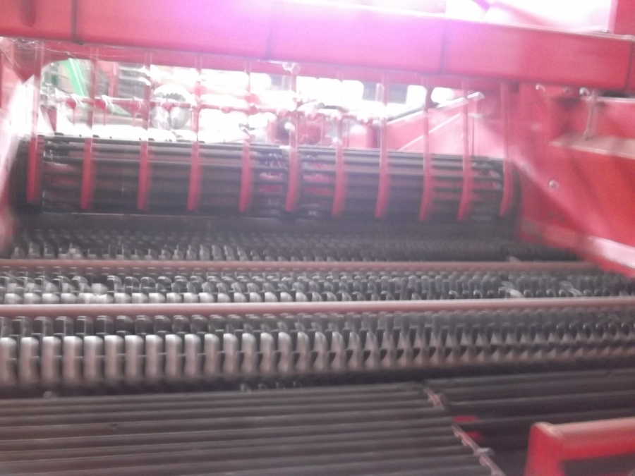 3637 Dewulf RDS 2 row Kartoffelroder