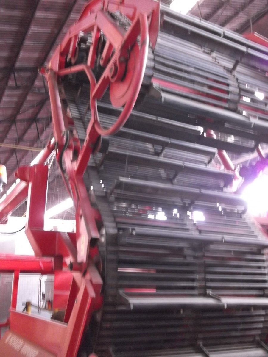 3637 Dewulf RDS 2 row Kartoffelroder