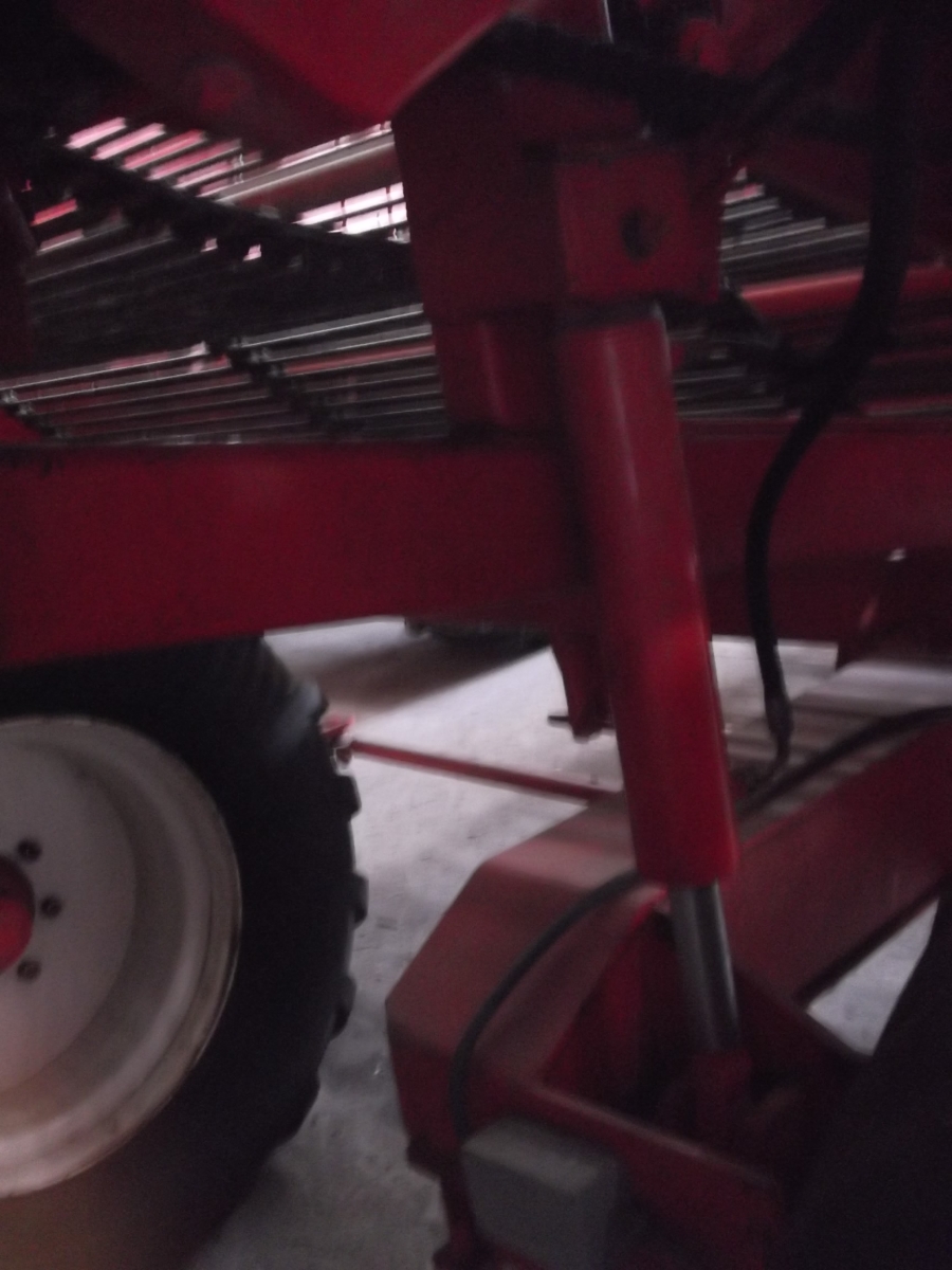 3637 Dewulf RDS 2 row Kartoffelroder
