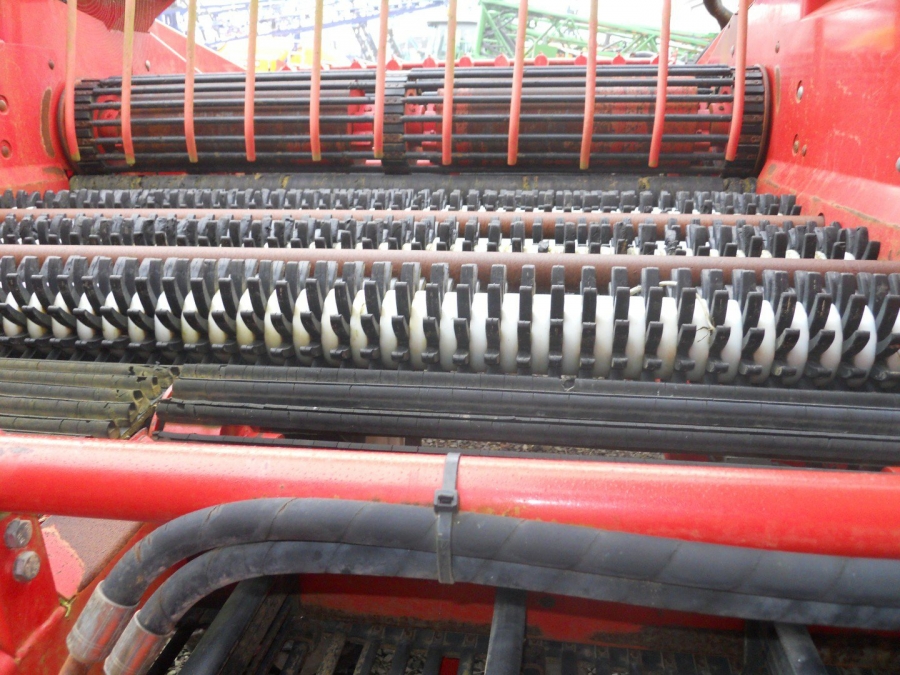 3637 Dewulf RDS 2 row Kartoffelroder