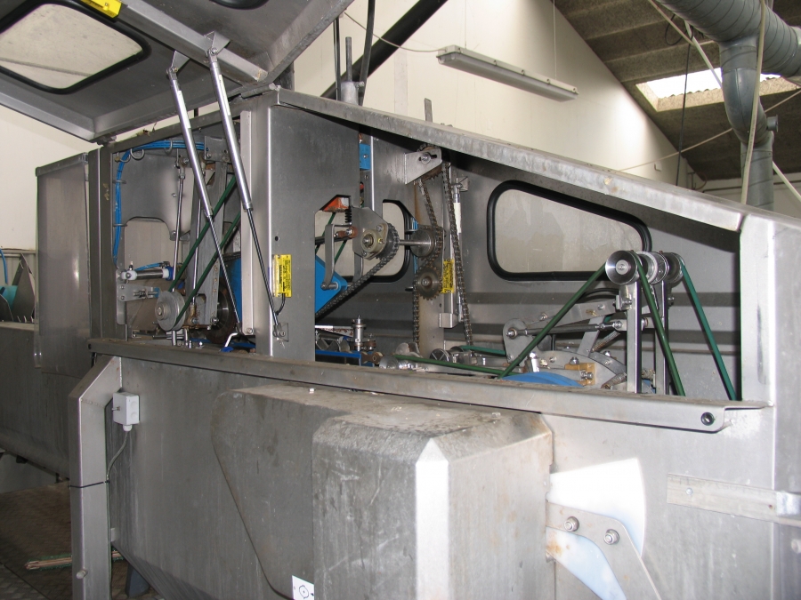3663 Sormac onion peeling line 