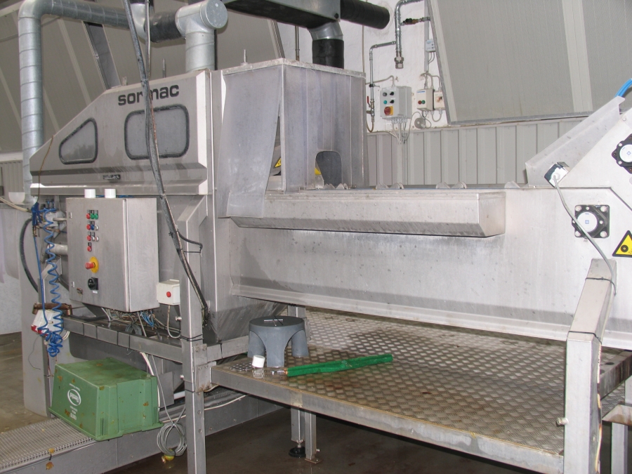 3663 Sormac onion peeling line 