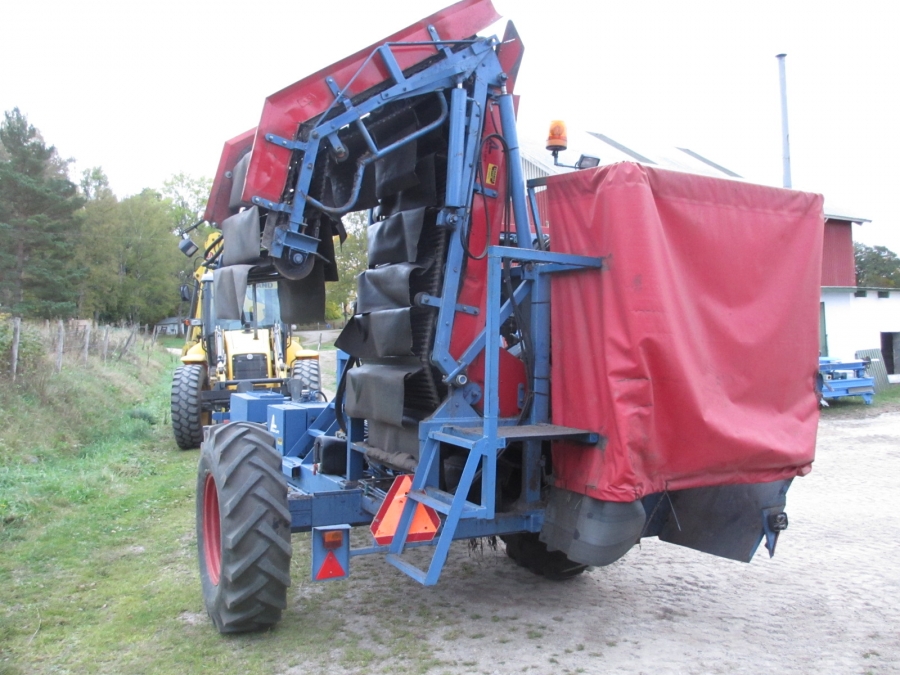 3688 Asa-Lift Möhrenroder mit Elevator 2 Reihe
