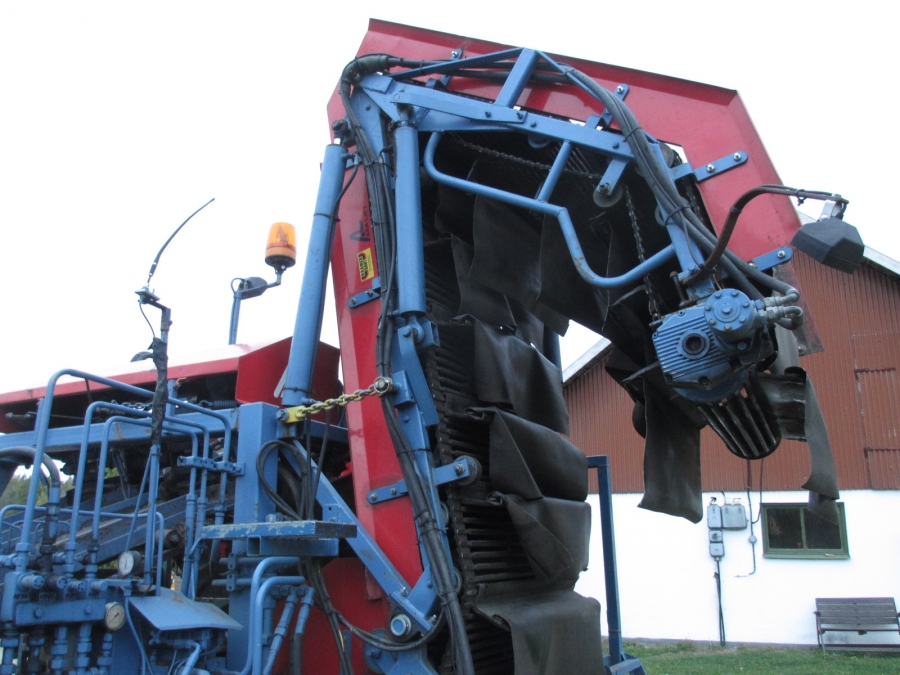 3688 Asa-Lift Möhrenroder mit Elevator 2 Reihe