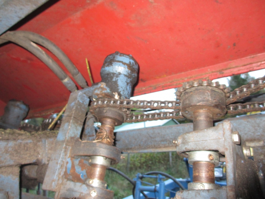 3688 Asa-Lift Möhrenroder mit Elevator 2 Reihe