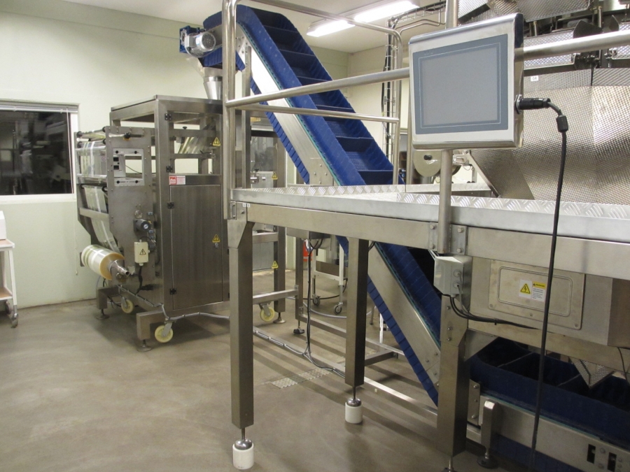 3728 Complete weigher and bagging line 