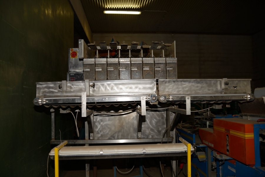 3734 EMVE BE5000 paper bagger with Newtec 2000 weigher