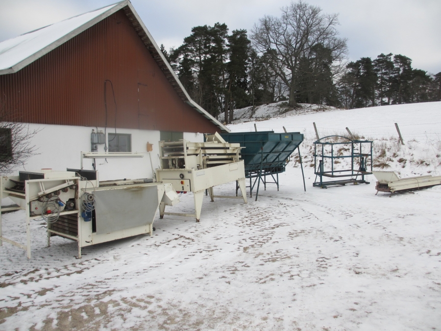 3769 Skals Kartoffelsortierer Komplettes Linie