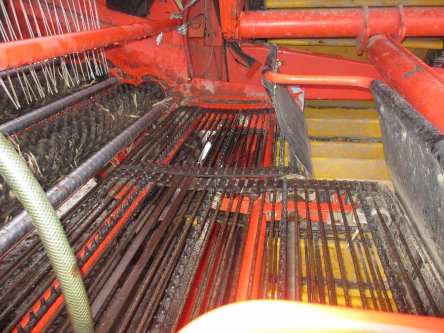 3836 Grimme GZ1700 potato harvester with elevator