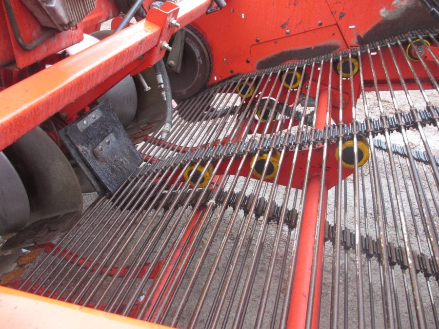 3836 Grimme GZ1700 potato harvester with elevator
