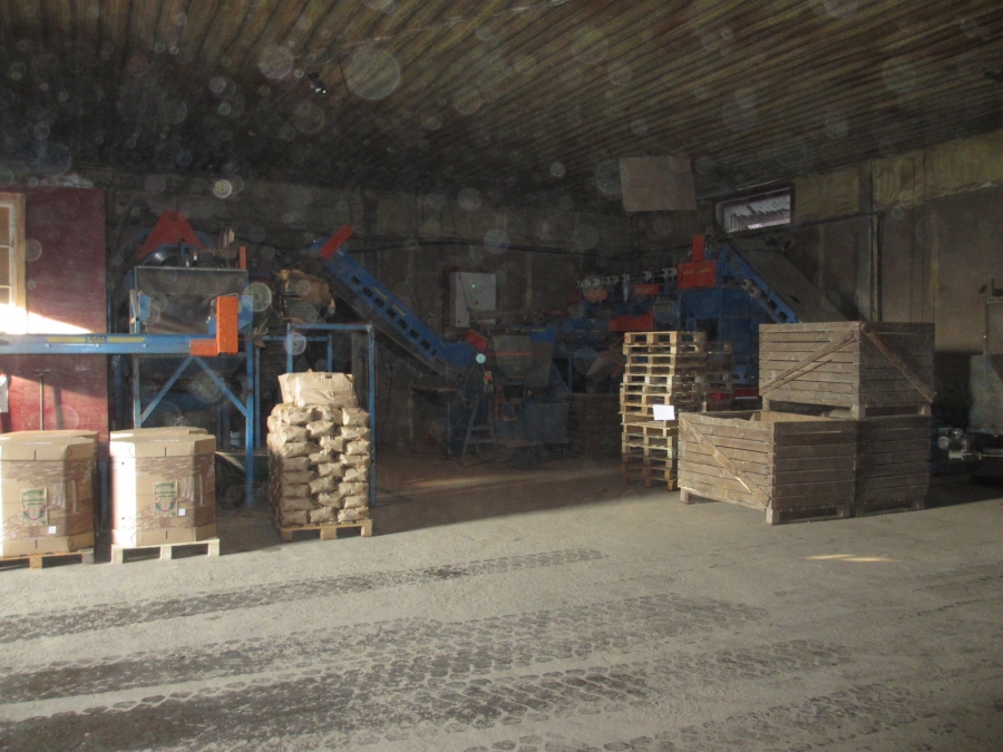 3875 EMVE Netzsortierer for potato/onion year 2009