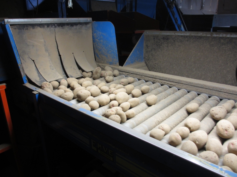 3875 EMVE Netzsortierer for potato/onion year 2009