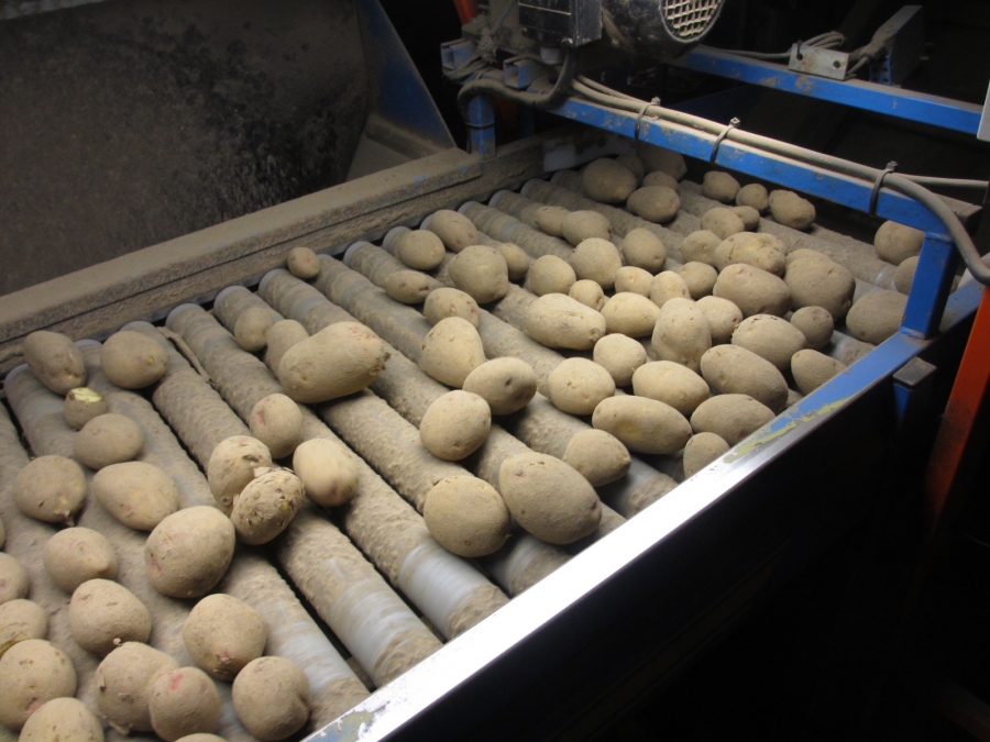 3875 EMVE Netzsortierer for potato/onion year 2009