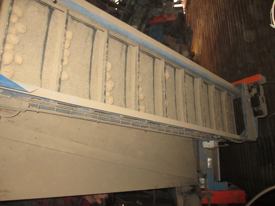 3875 EMVE Netzsortierer for potato/onion year 2009
