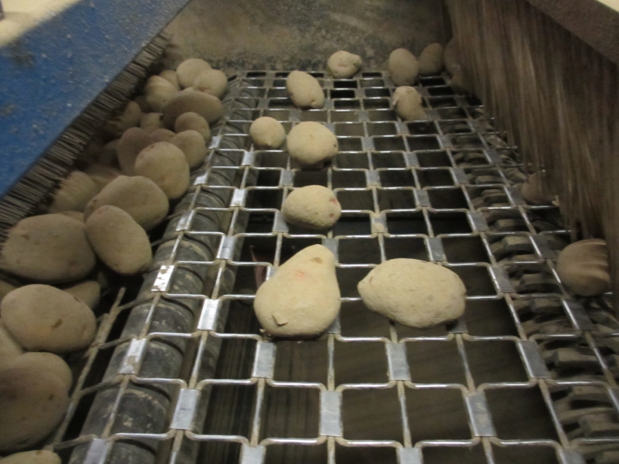 3875 EMVE Netzsortierer for potato/onion year 2009