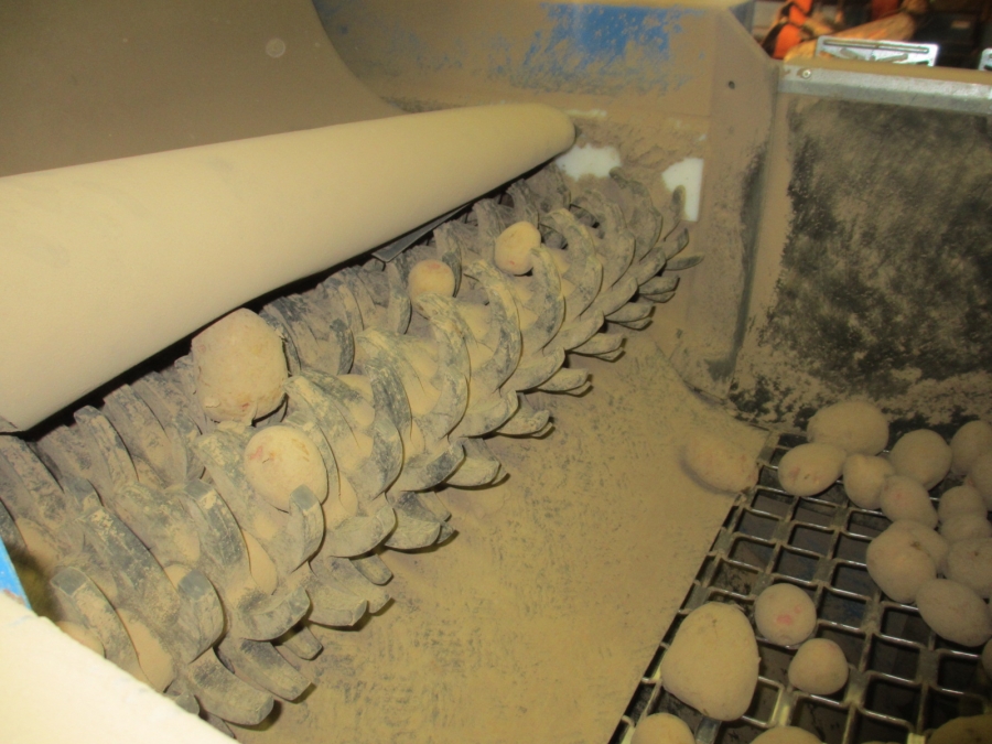 3875 EMVE Netzsortierer for potato/onion year 2009