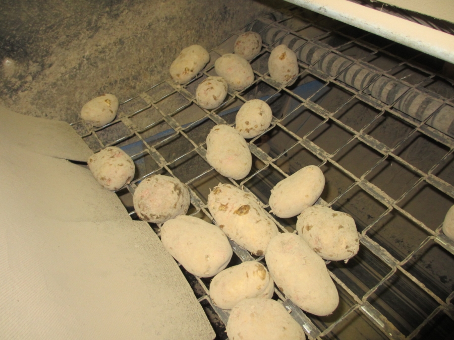 3875 EMVE Netzsortierer for potato/onion year 2009