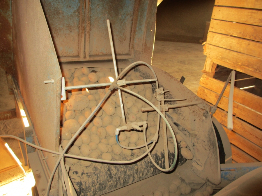 3875 EMVE Netzsortierer for potato/onion year 2009