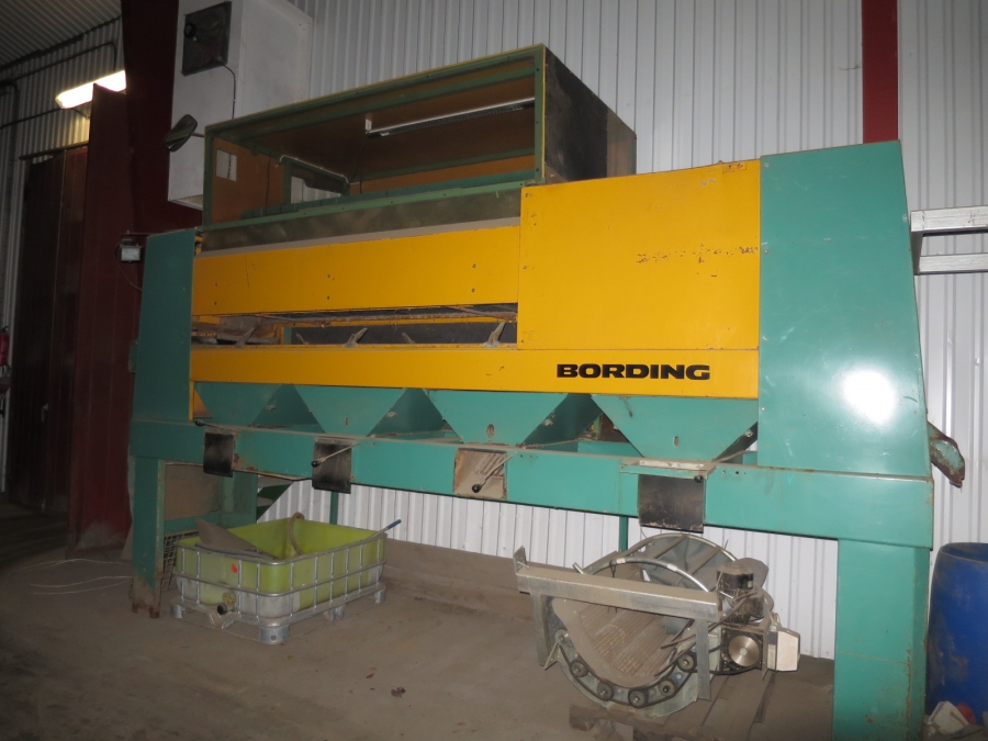 3984 Bording Kartoffelsortierer Kombi