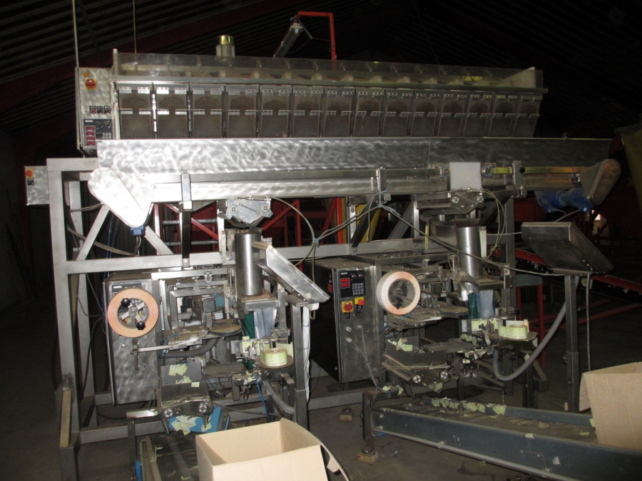 4010 Newtec 2014XBD Waage Komplettes Linie