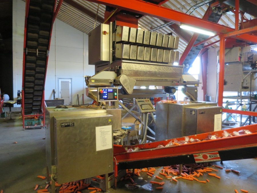 4032 Newtec 3009 Waage mit Verpackungsmaschinen für Möhren