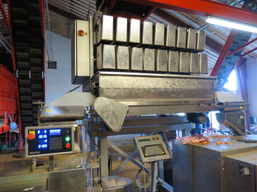 4032 Newtec 3009 Waage mit Verpackungsmaschinen für Möhren