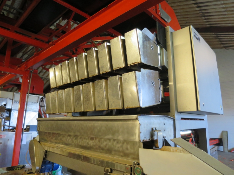 4032 Newtec 3009 Waage mit Verpackungsmaschinen für Möhren
