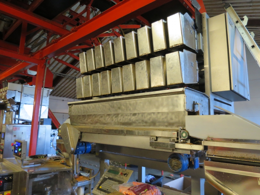 4032 Newtec 3009 Waage mit Verpackungsmaschinen für Möhren