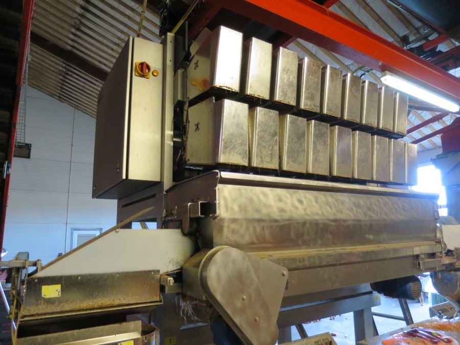 4032 Newtec 3009 Waage mit Verpackungsmaschinen für Möhren