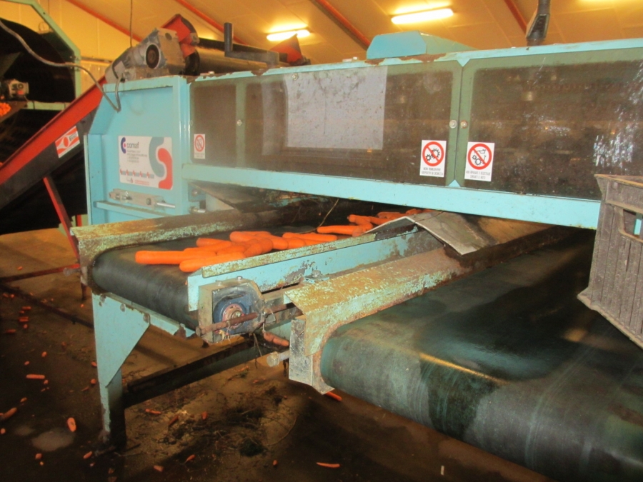 4067 Comaf Sammo small piece grader for carrots etc