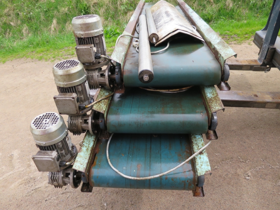 4068 Comaf Sammo diameter grader for carrots and other root vegetables