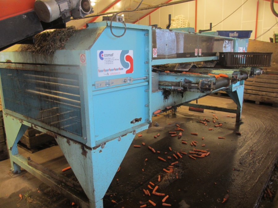 4068 Comaf Sammo diameter grader for carrots and other root vegetables