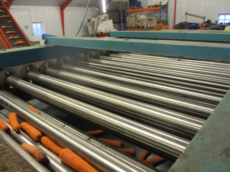 4068 Comaf Sammo diameter grader for carrots and other root vegetables