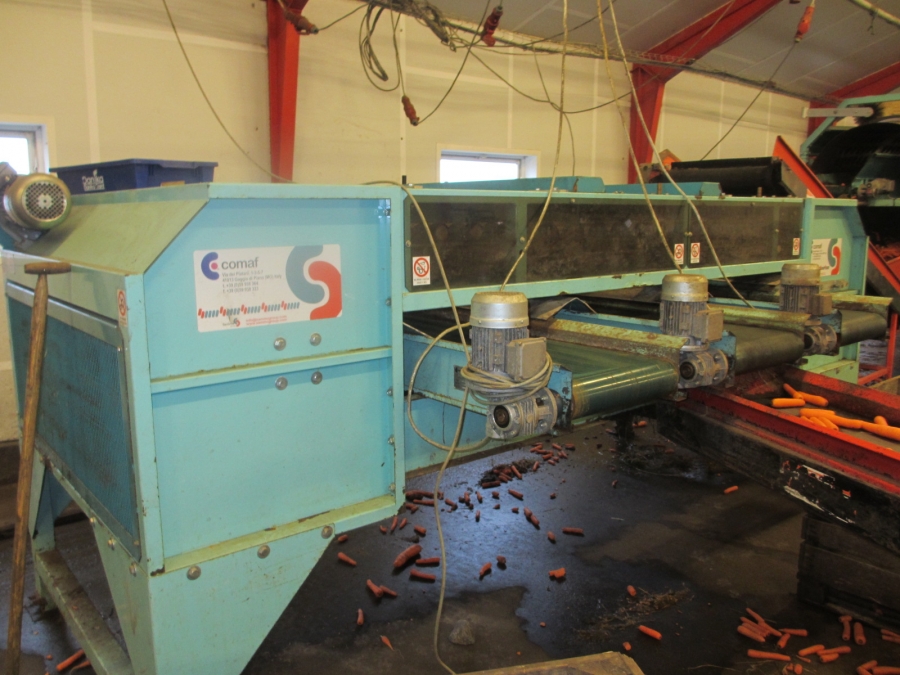4068 Comaf Sammo diameter grader for carrots and other root vegetables